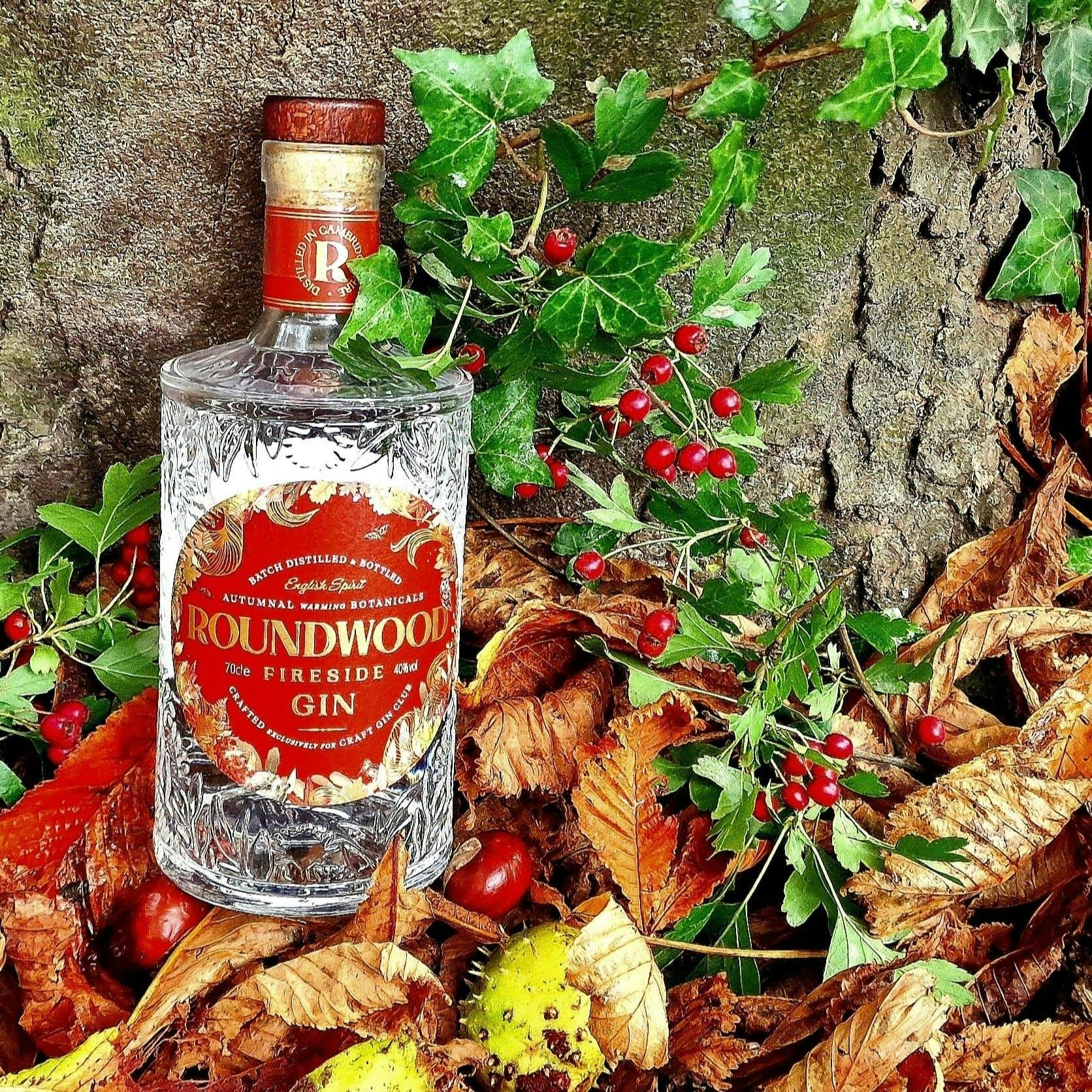 Roundwood Fireside Gin against a tree with leaves and berries