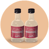 MINI GINS