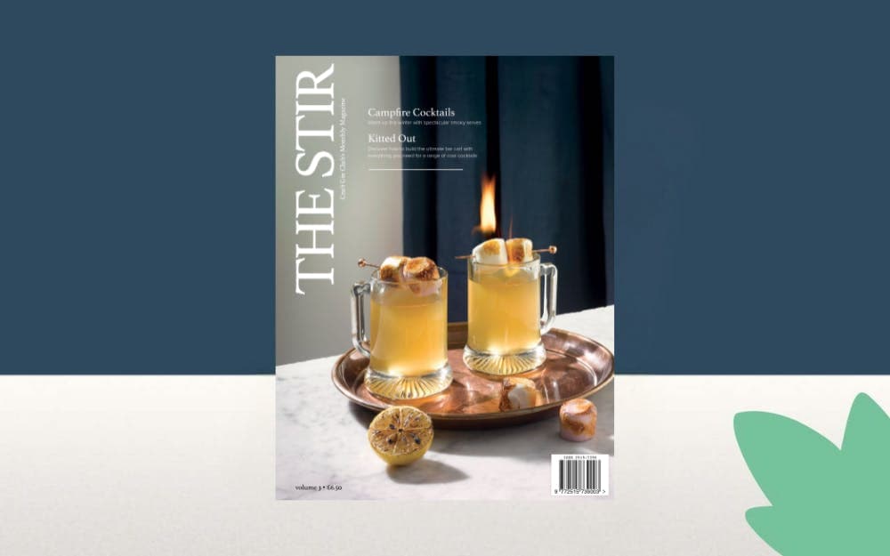 The Stir Magazine November 2024